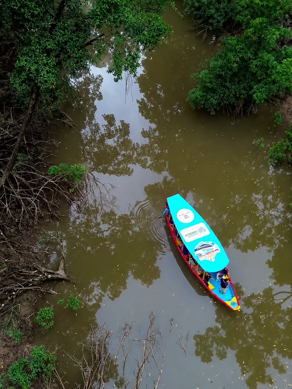 Paseo por un manglar de Marajó