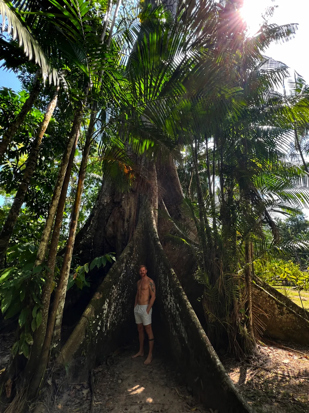 Lipe junto a las raíces monumentales de una ceiba en la selva amazónica