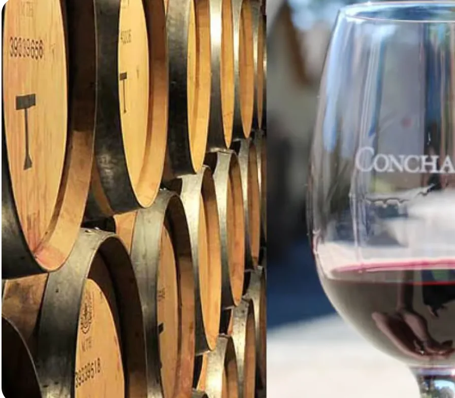 ◉ Maipo / Concha y Toro / Aquitania