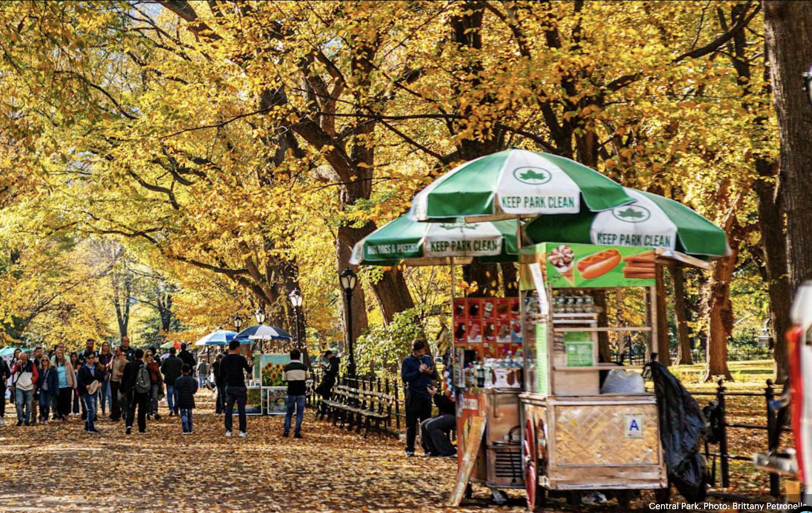 Central Park no outono em Nova York