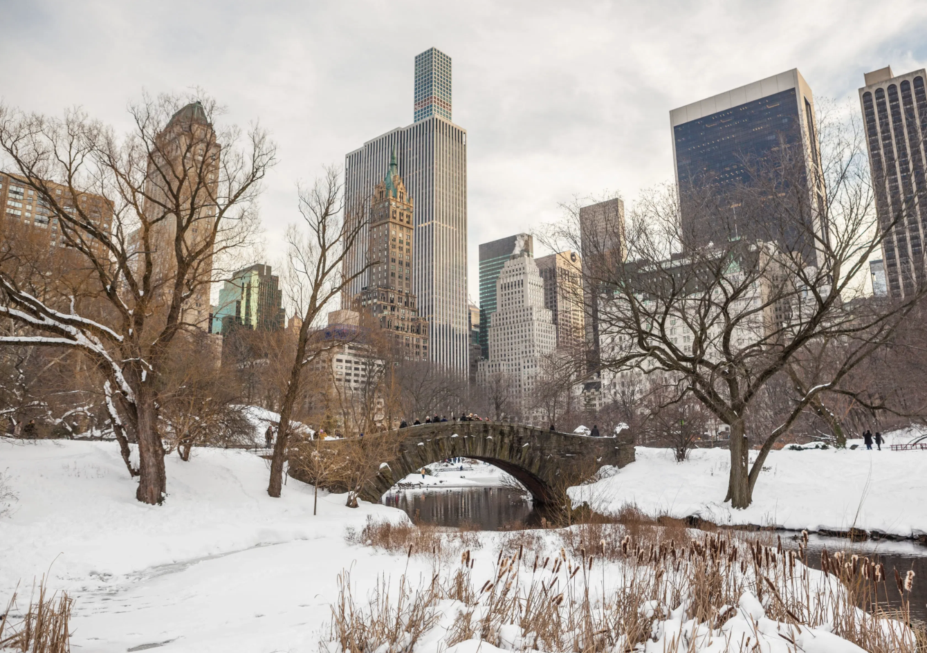 Central Park coberto de neve no inverno em Nova York